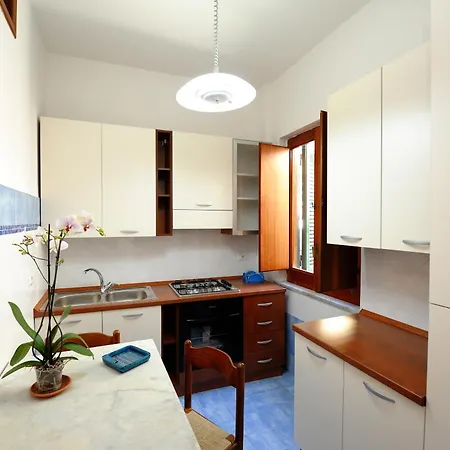 Apartment Blue Flowers B