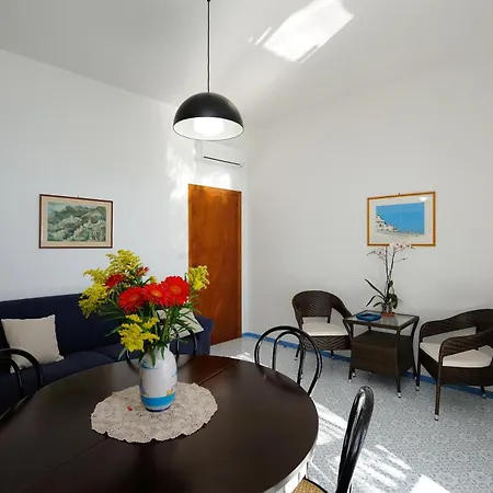 Blue Flowers B * أمالفي