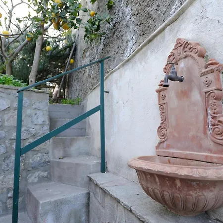 Blue Flowers B شقة