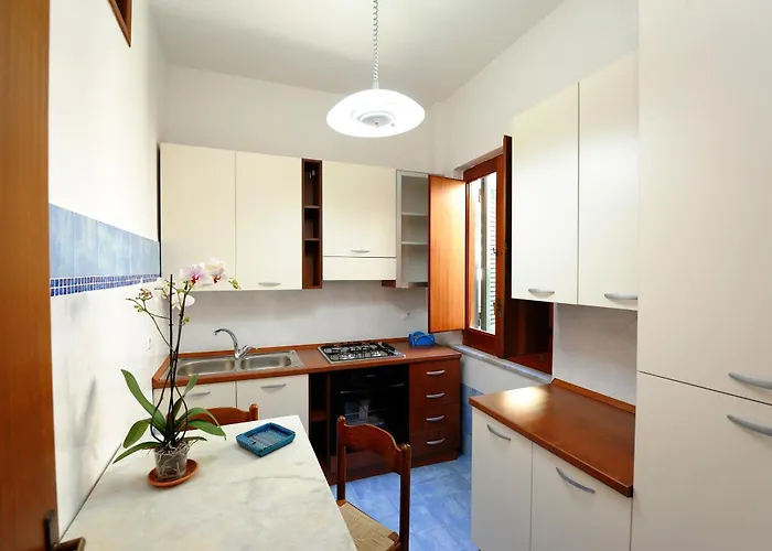 Apartment Blue Flowers B